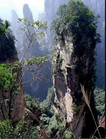 長沙出發(fā)到張家界溶洞奇觀黃龍洞、國家森林公園、袁家界、峰林之王天子山三日游（早班）