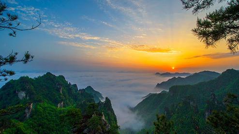 張家界森林公園（金鞭溪、袁家界、楊家界、天子山、十里畫廊）住山上2天1游（可看日出）